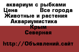 аквариум с рыбками › Цена ­ 1 000 - Все города Животные и растения » Аквариумистика   . Крым,Северная